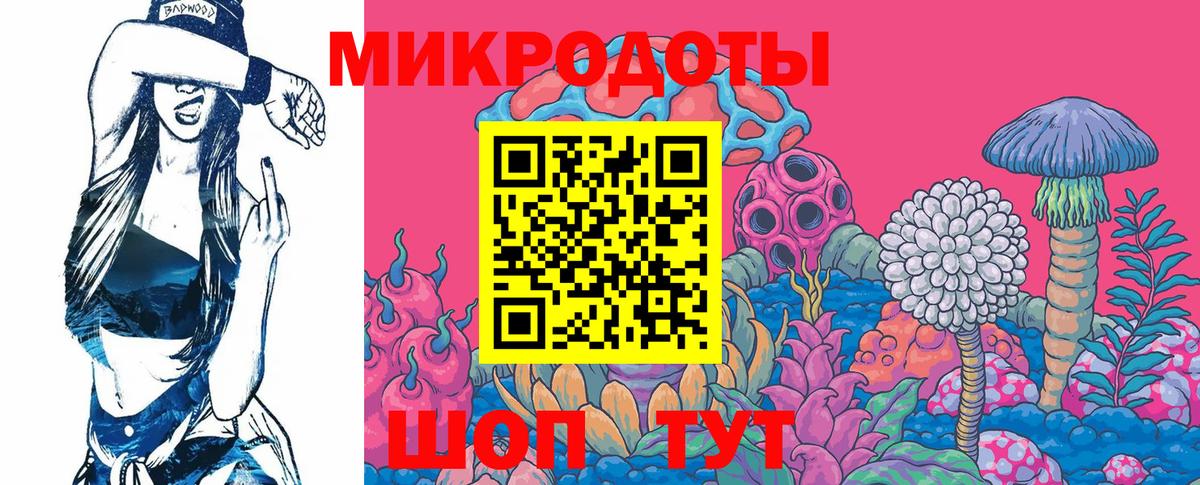 Галлюциногенные грибы GOLDEN TEACHER Буйнакск