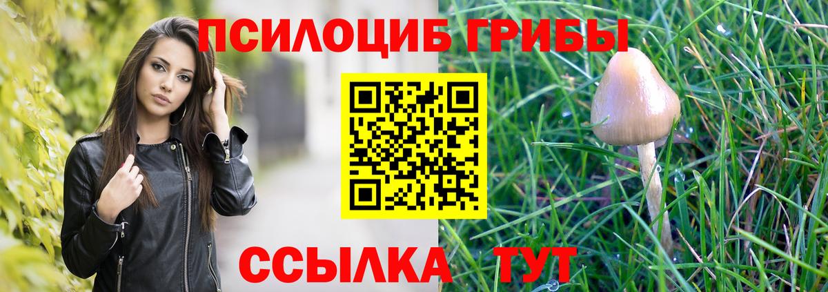 Буйнакск  Псилоцибиновые грибы Cubensis  Галлюциногенные грибы мицелий  Вход с VPN 